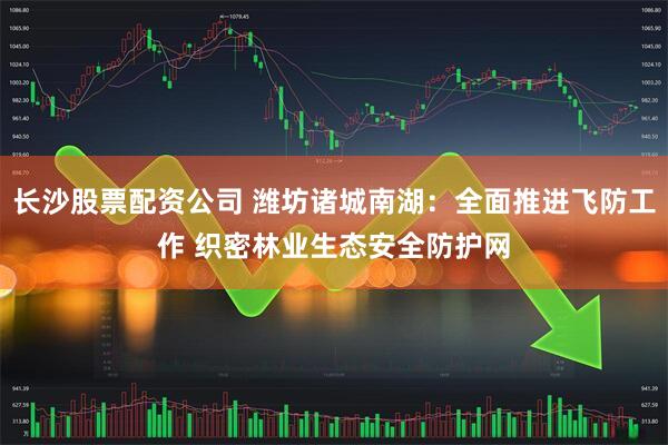 长沙股票配资公司 潍坊诸城南湖：全面推进飞防工作 织密林业生态安全防护网