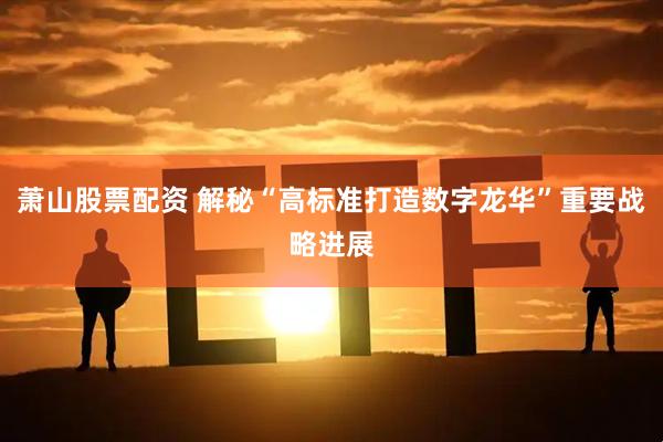 萧山股票配资 解秘“高标准打造数字龙华”重要战略进展