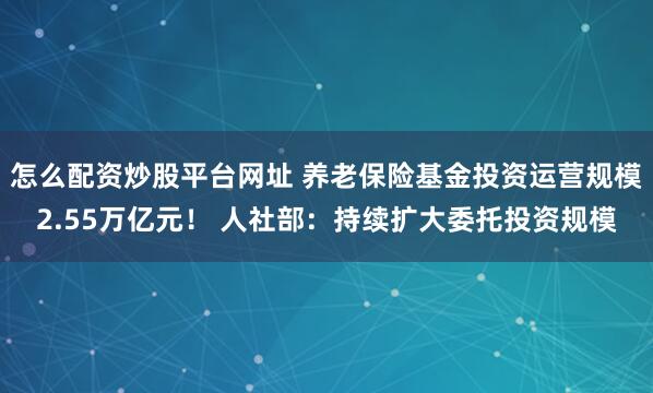 怎么配资炒股平台网址 养老保险基金投资运营规模2.55万亿元！ 人社部：持续扩大委托投资规模